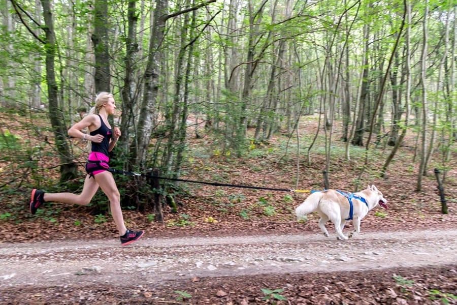 Adjustable Dragsele Blå, view: 3