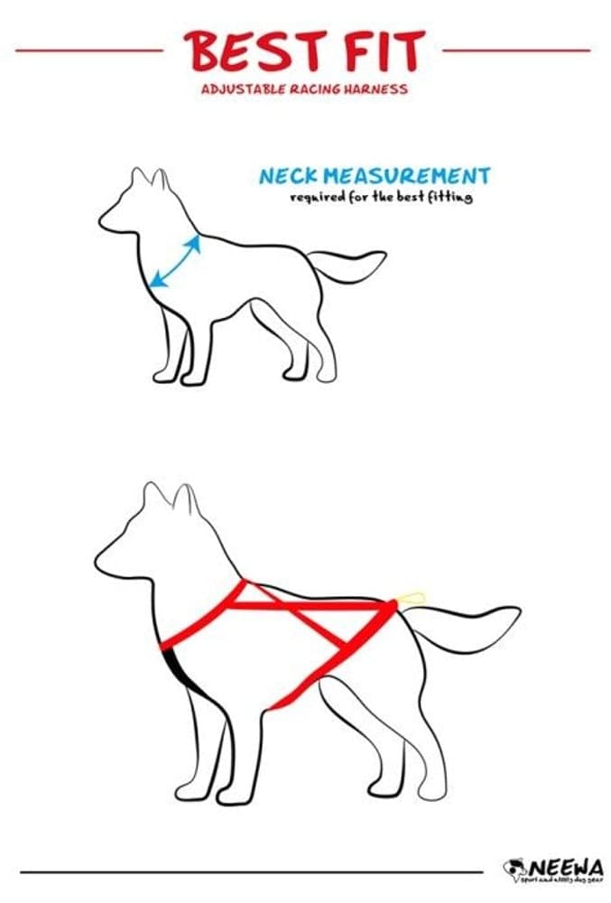 Adjustable Dragsele Svart, view: 5