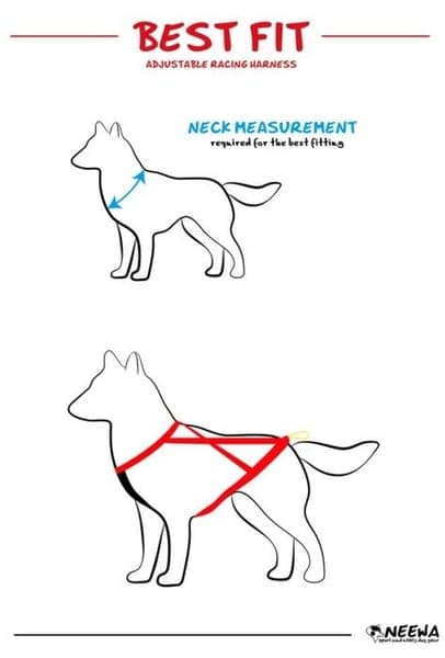 Adjustable Dragsele Svart, view: 5