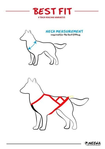 Adjustable Dragsele Blå, view: 7