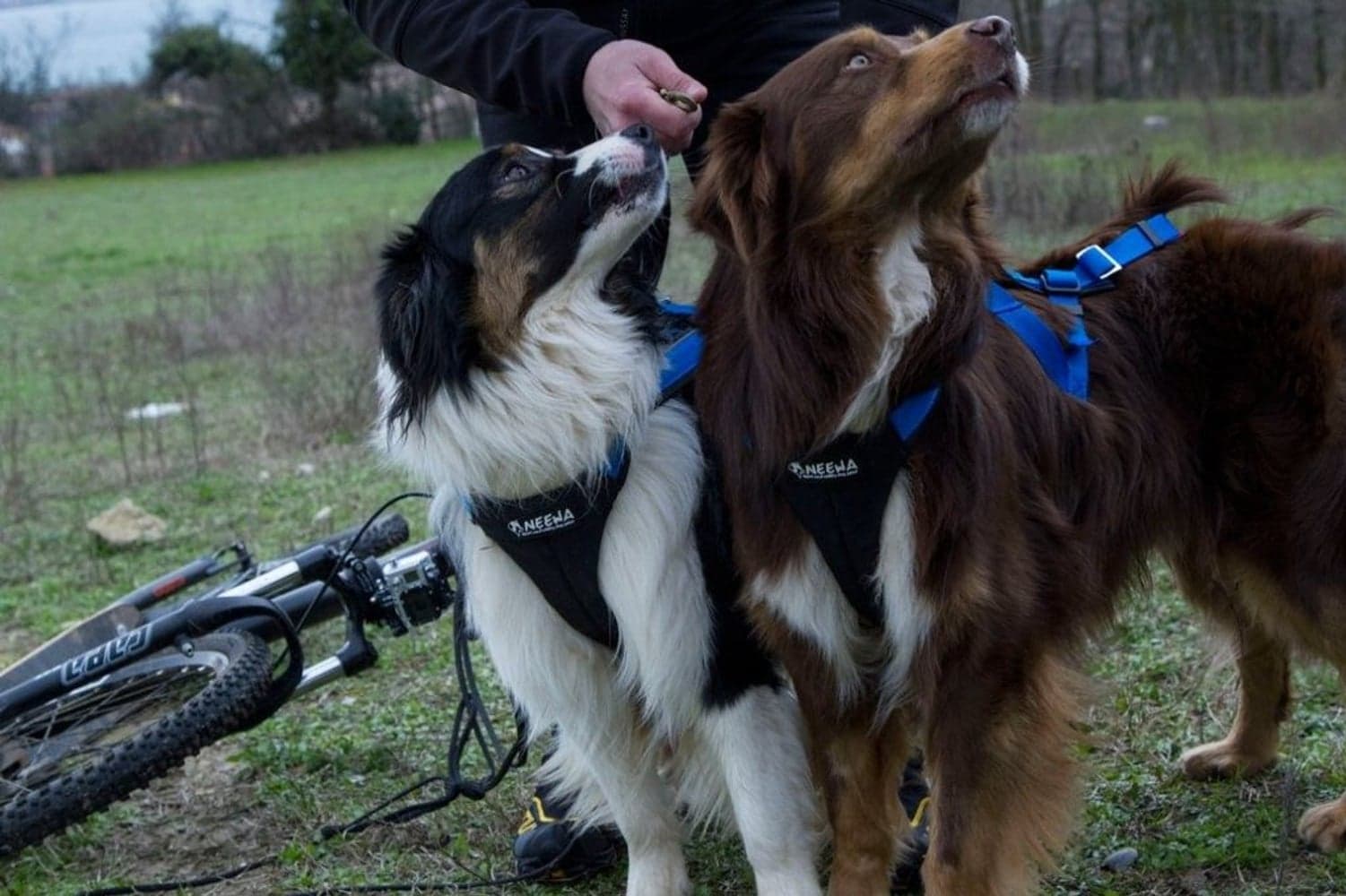 Adjustable Dragsele Svart, view: 4