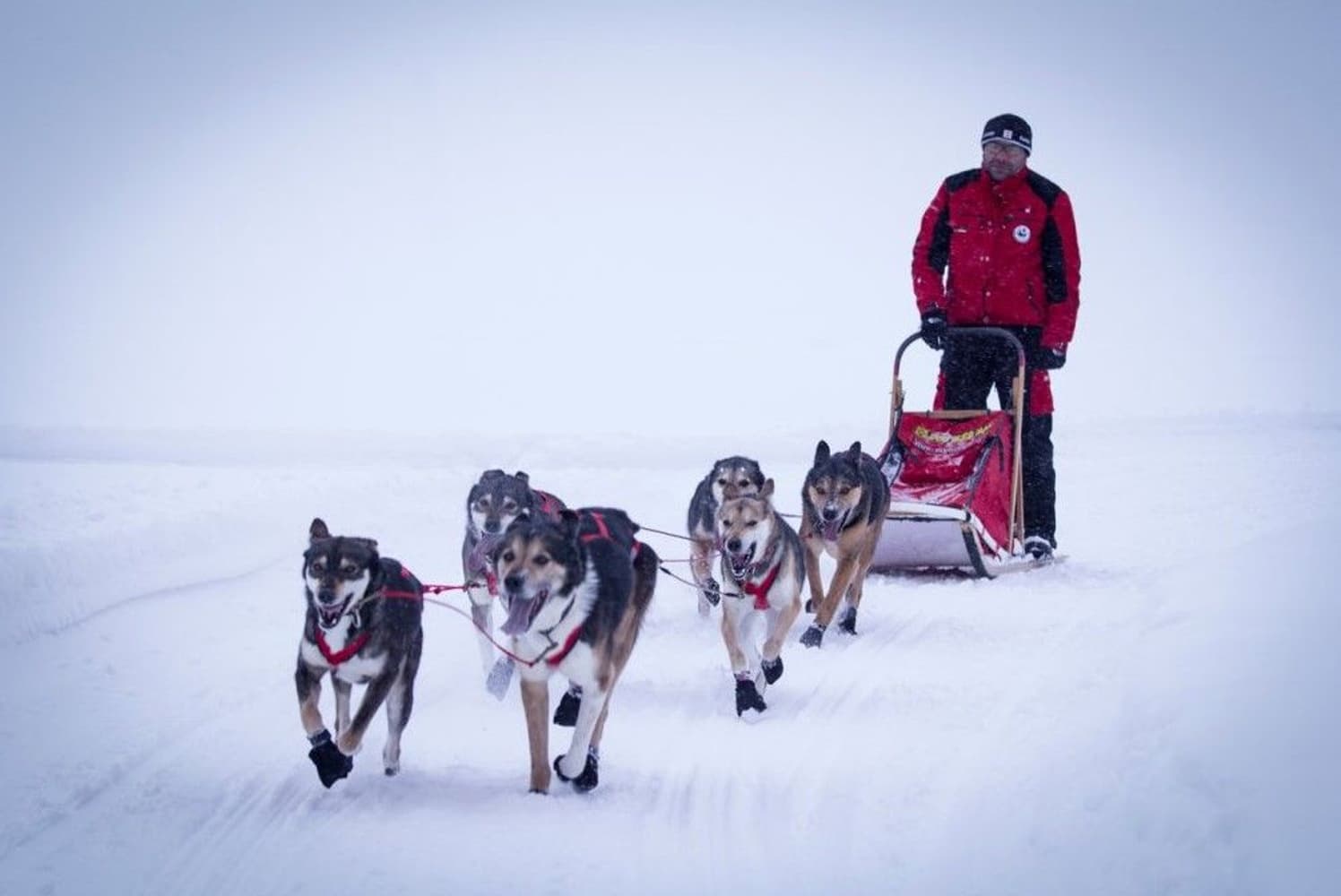 X-Back Racing Dragsele Röd, view: 5