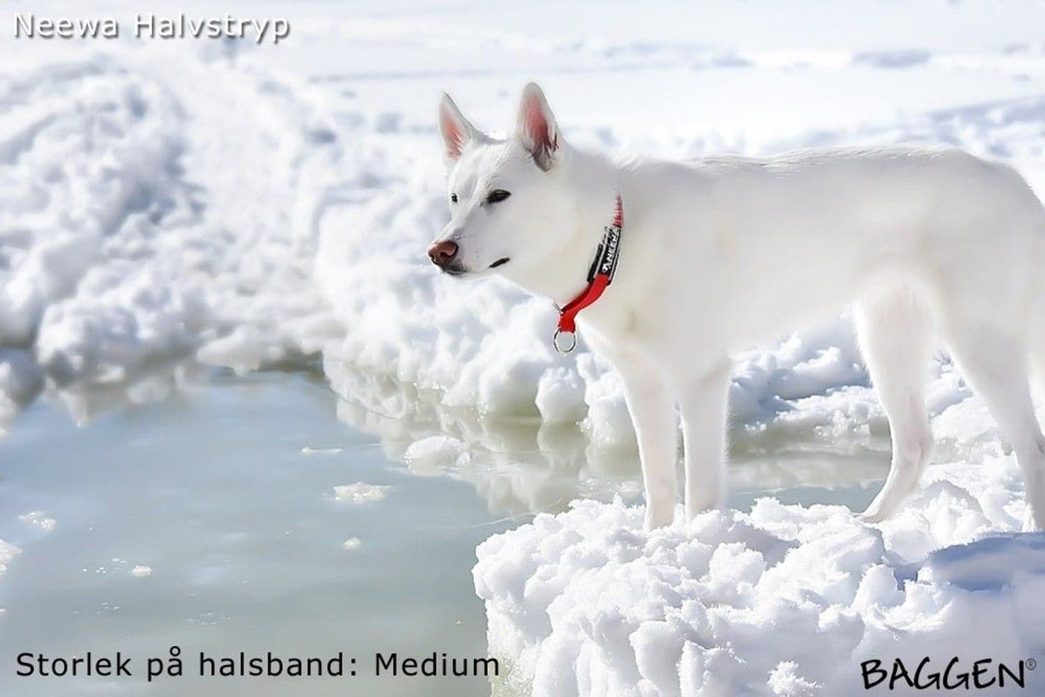 Halvstryp Svart, view: 2