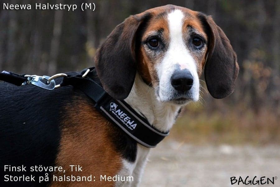 Halvstryp Röd, view: 4