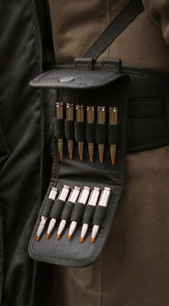 AddOn Patronficka Magnumkaliber, view: 1