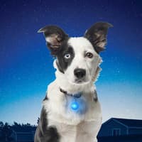 SpotLit Collar Light Red - view: 3