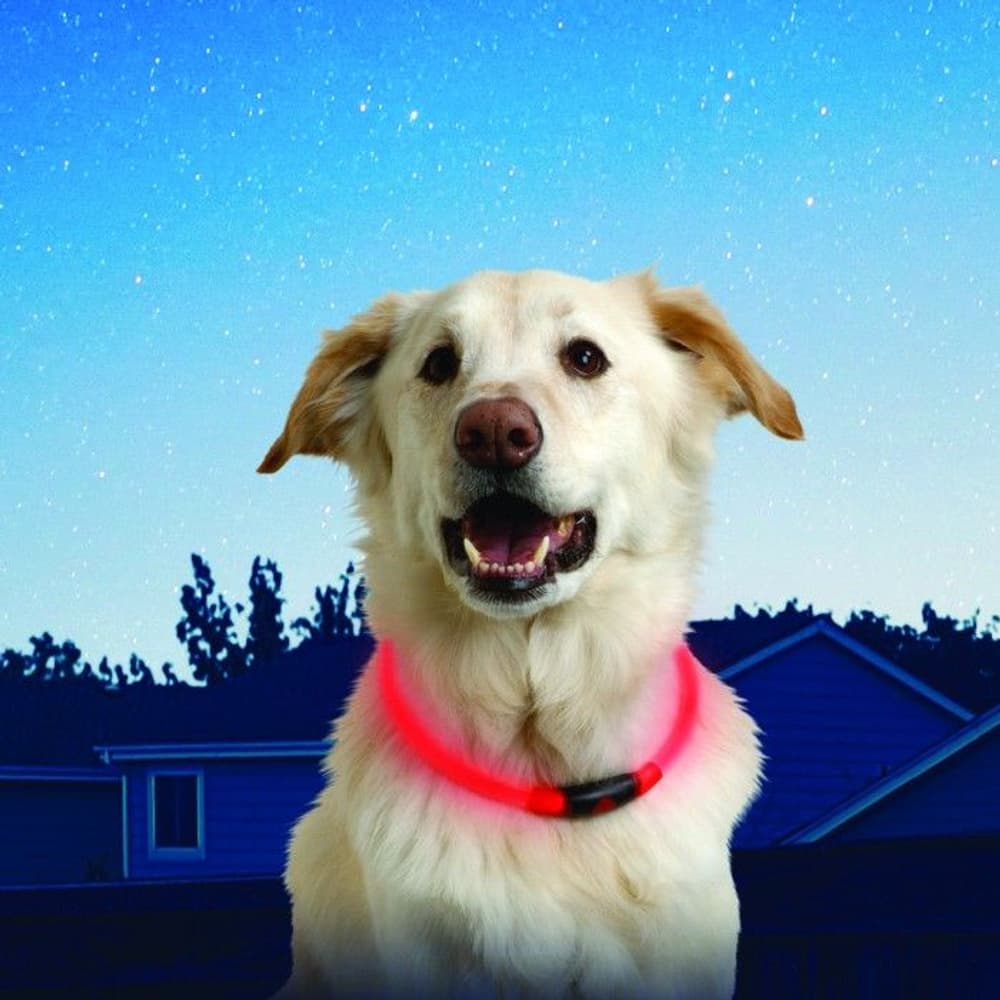 NiteHowl! LED Safety Dog Necklace - Red, view: 2