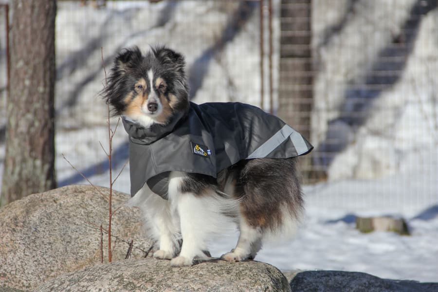 Niva Dog Raincoat Rock 40 cm, view: 6