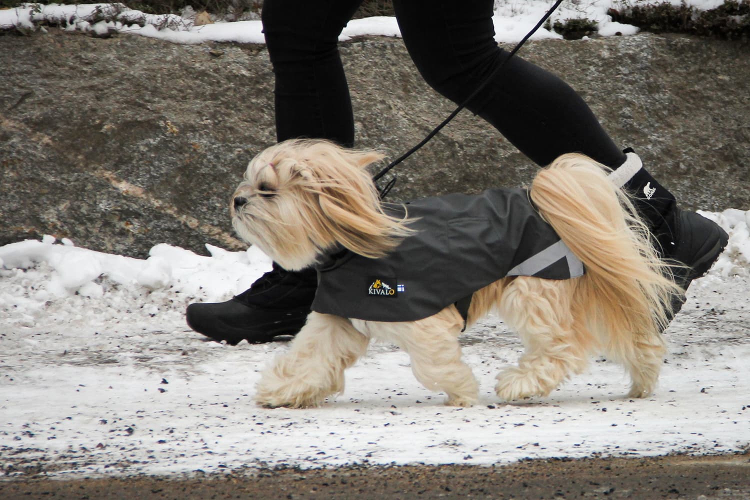 Niva Dog Raincoat Rock 35 cm, view: 7