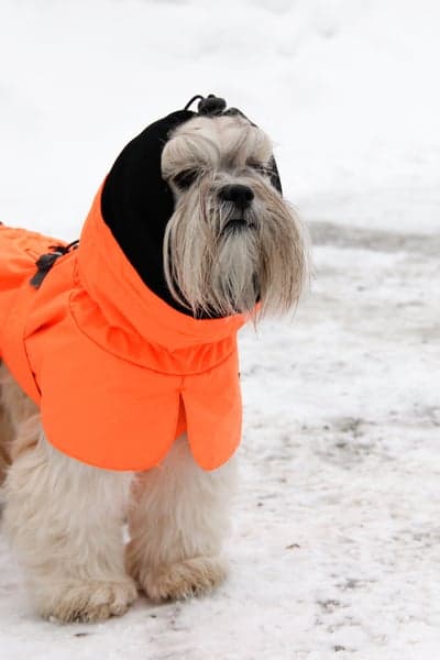 Ohto Dog Wind Jacket Grid 40 cm, view: 7