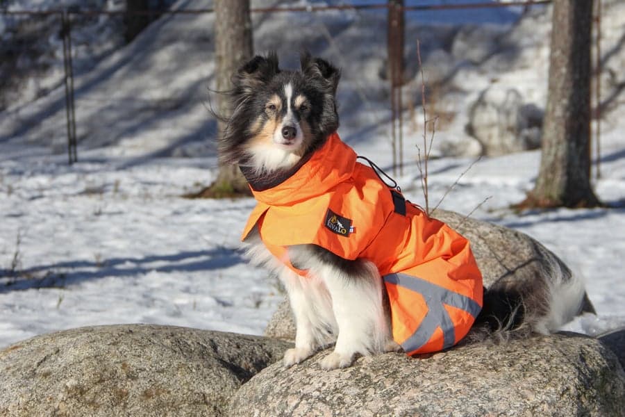 Ohto Dog Wind Jacket Grid 40 cm, view: 6