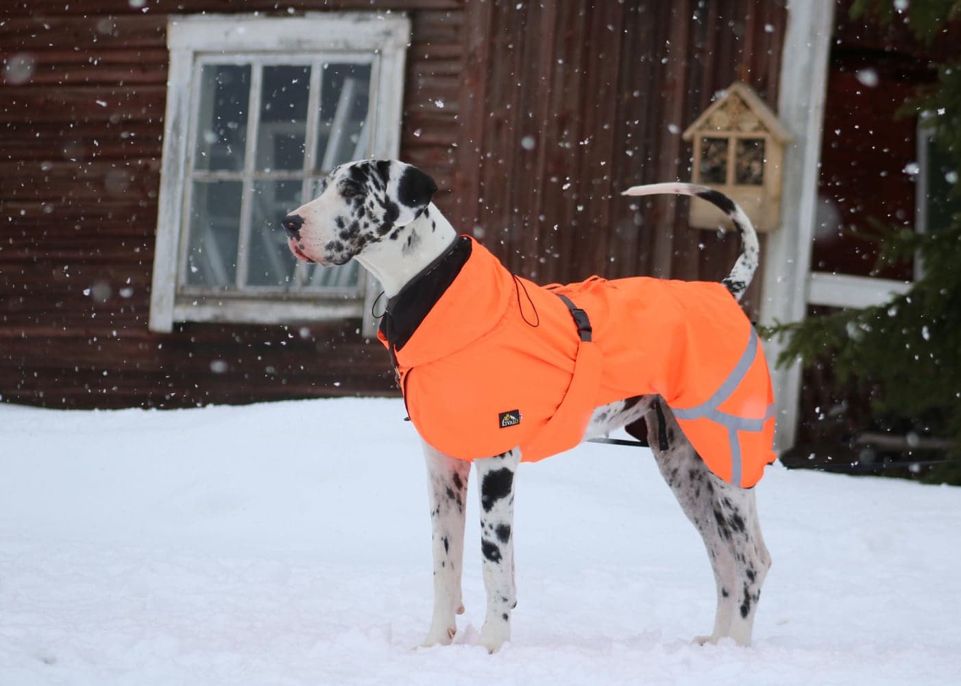 Ohto Dog Wind Jacket Grid 35 cm, view: 4