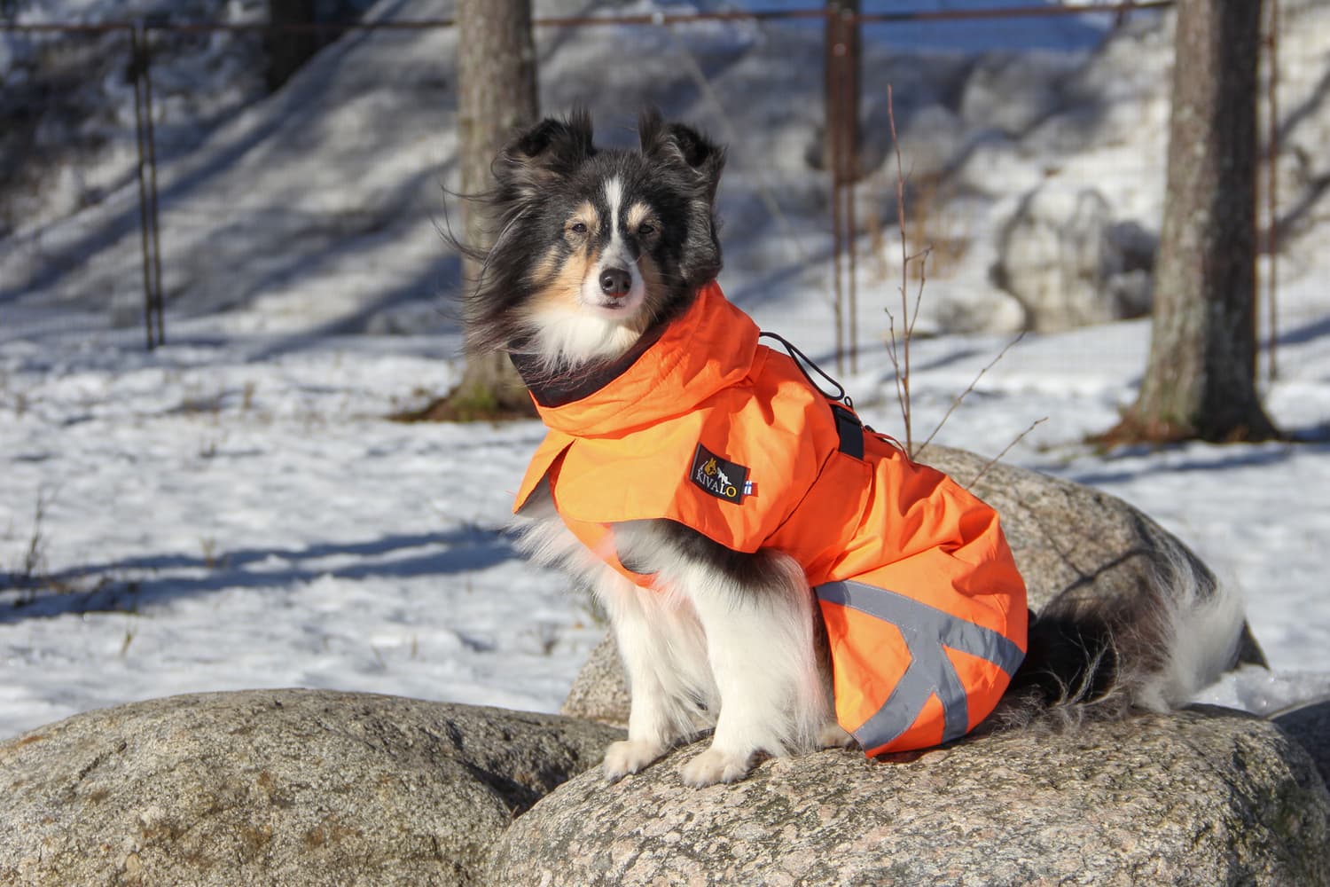 Ohto Dog Wind Jacket Grid 55 cm, view: 6
