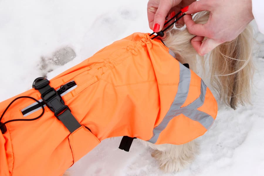 Ohto Dog Wind Jacket Grid 55 cm, view: 8