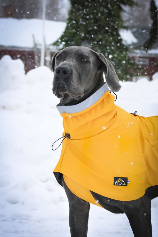 Niva Dog Raincoat Buttercup 40 cm, view: 5
