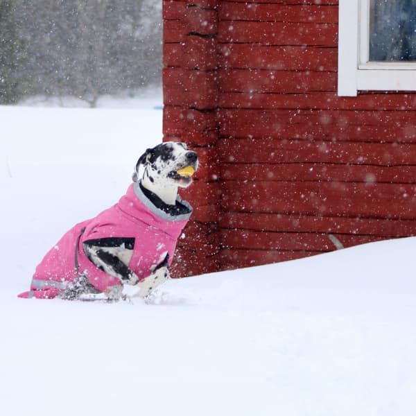 Luosto Dog Winter Jacket 40 cm Pink, view: 5