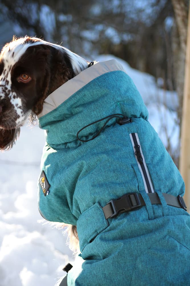 Luosto Dog Winter Jacket 35 cm Stream, view: 6