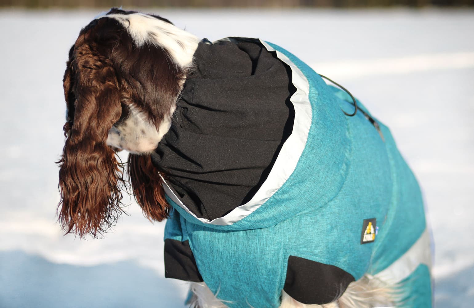 Luosto Dog Winter Jacket 35 cm Stream, view: 7