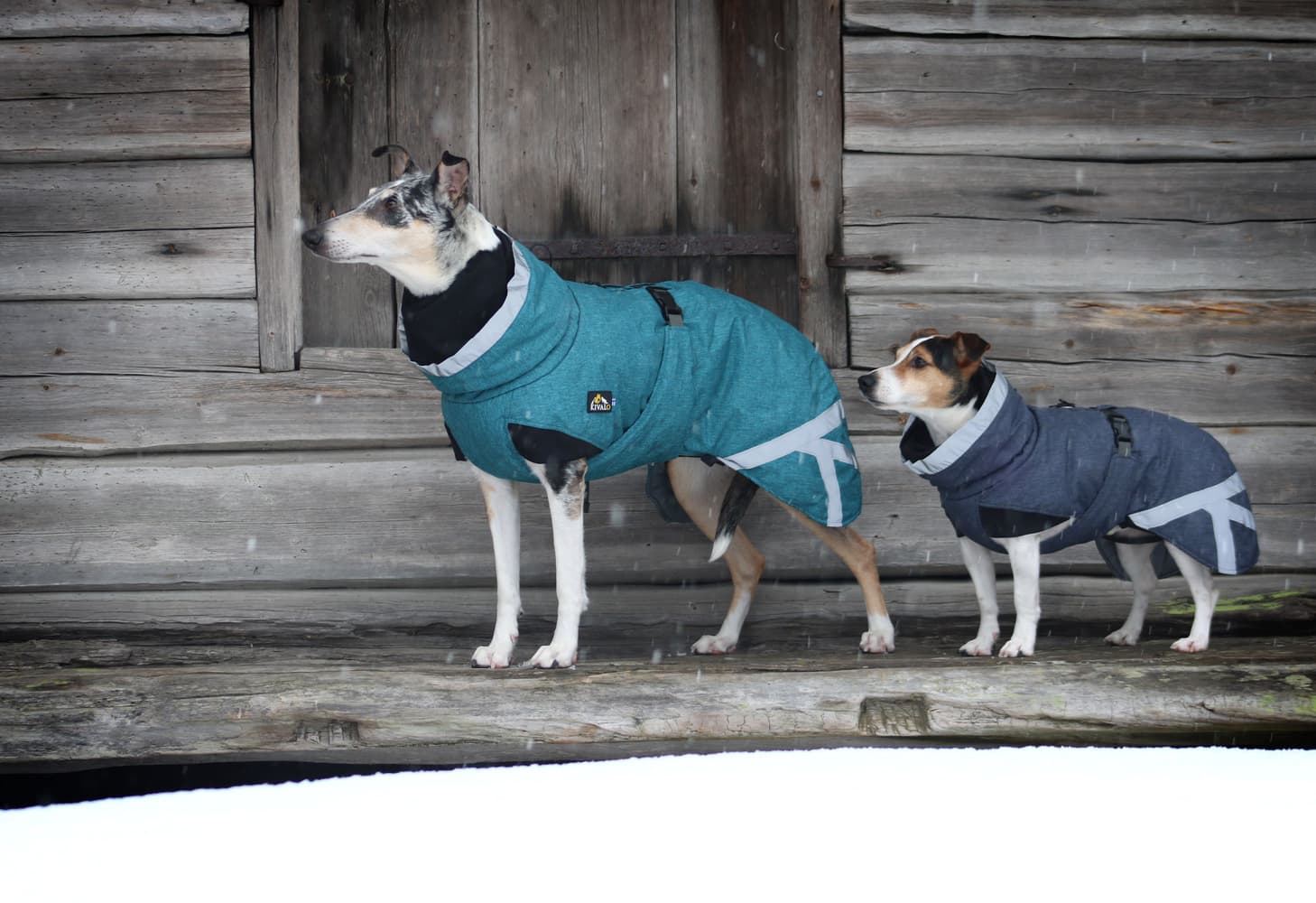 Luosto Dog Winter Jacket 35 cm Stream, view: 5