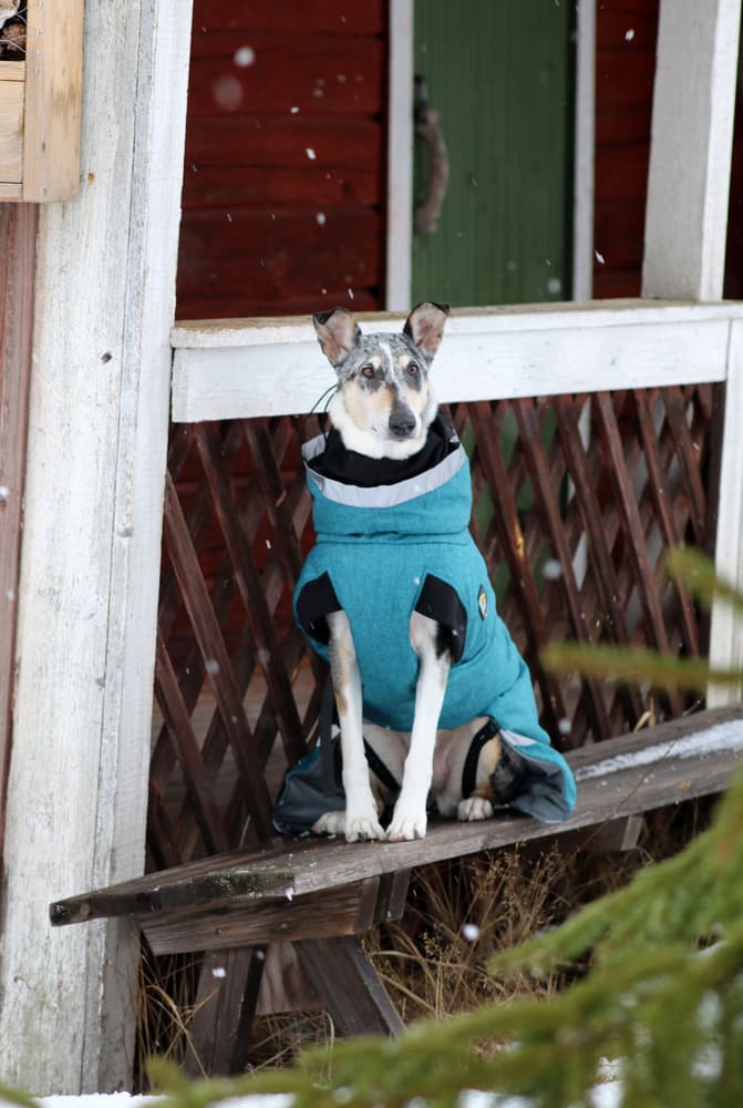 Luosto Dog Winter Jacket 45 cm Stream, view: 8