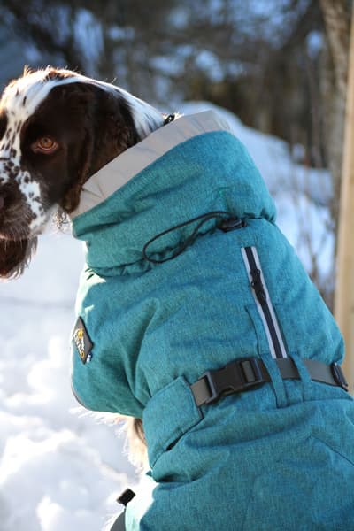 Luosto Dog Winter Jacket 55 cm Stream, view: 6