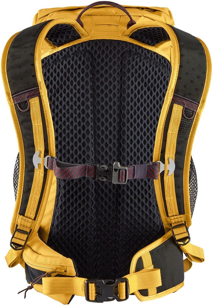 Delling Backpack 20L Amber Gold, view: 1