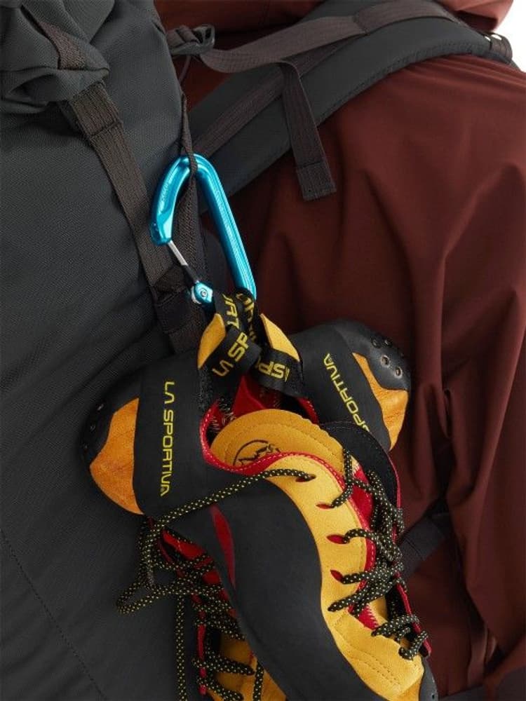 Ratatosk Backpack 30L Mouse Logo Raven, view: 11