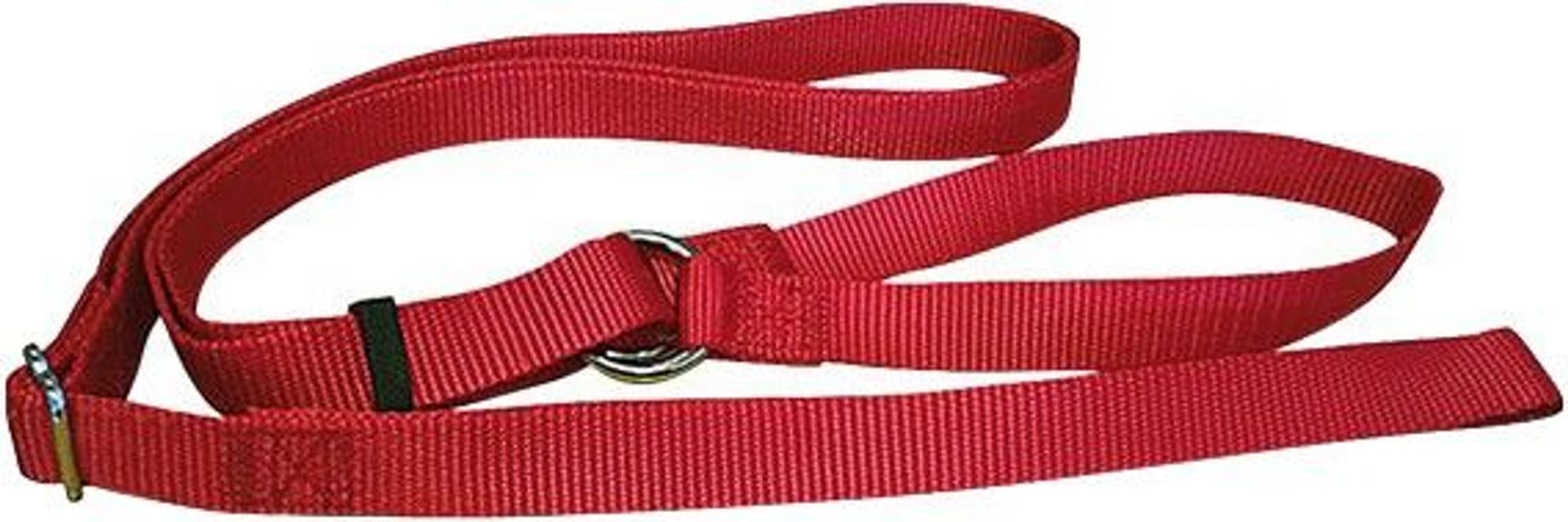 Koiravaruste Leash Red, view: 0