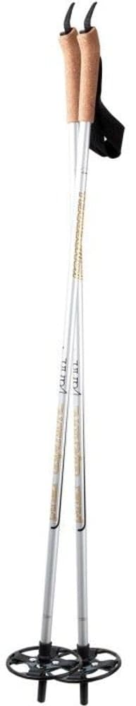 Winter Adventure, view: 0