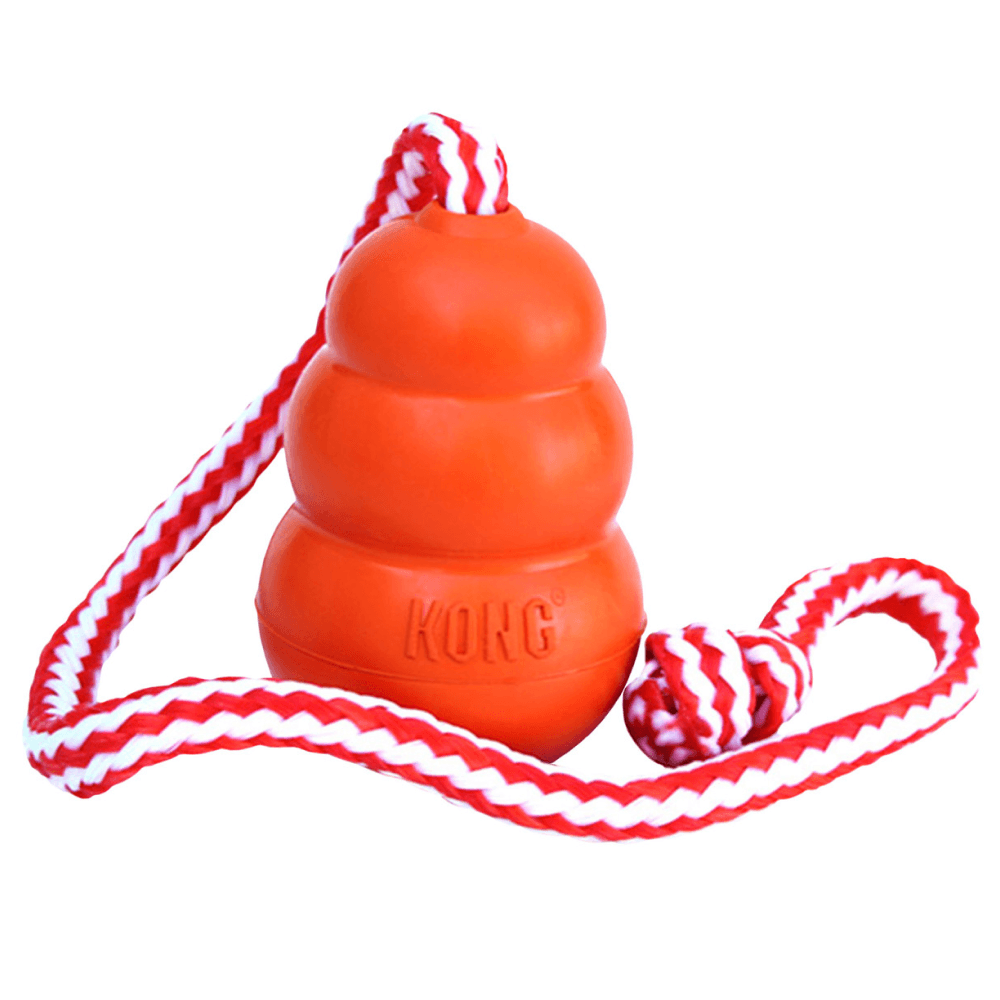 Aqua L 10X7Cm Orange, view: 0