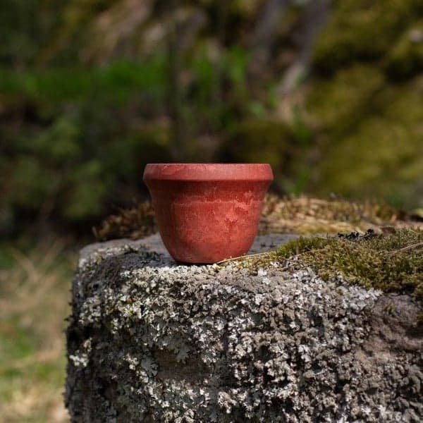 Suova 20 Red, view: 2