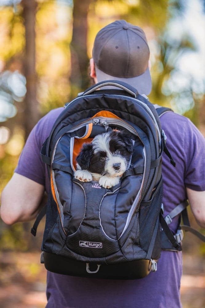 G Train Pack Navy, view: 0