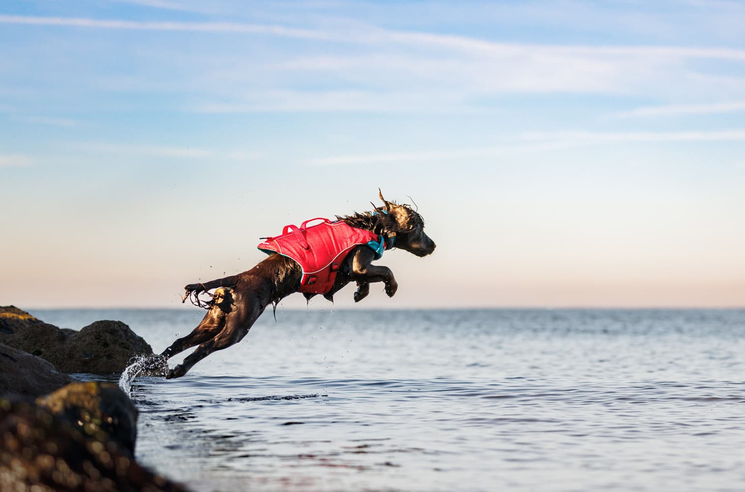 Life Jacket Surf N Turf Red, view: 7