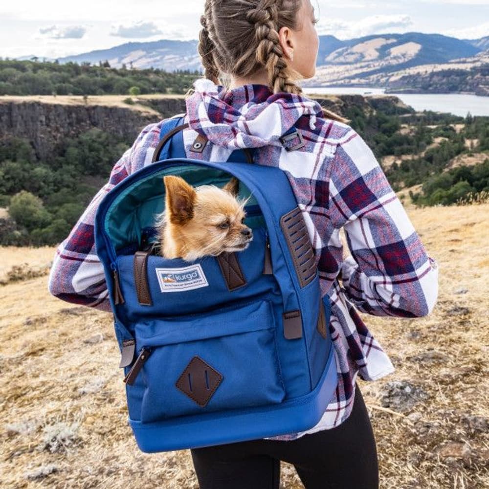 Nomad Carrier Backpack Blue, view: 9