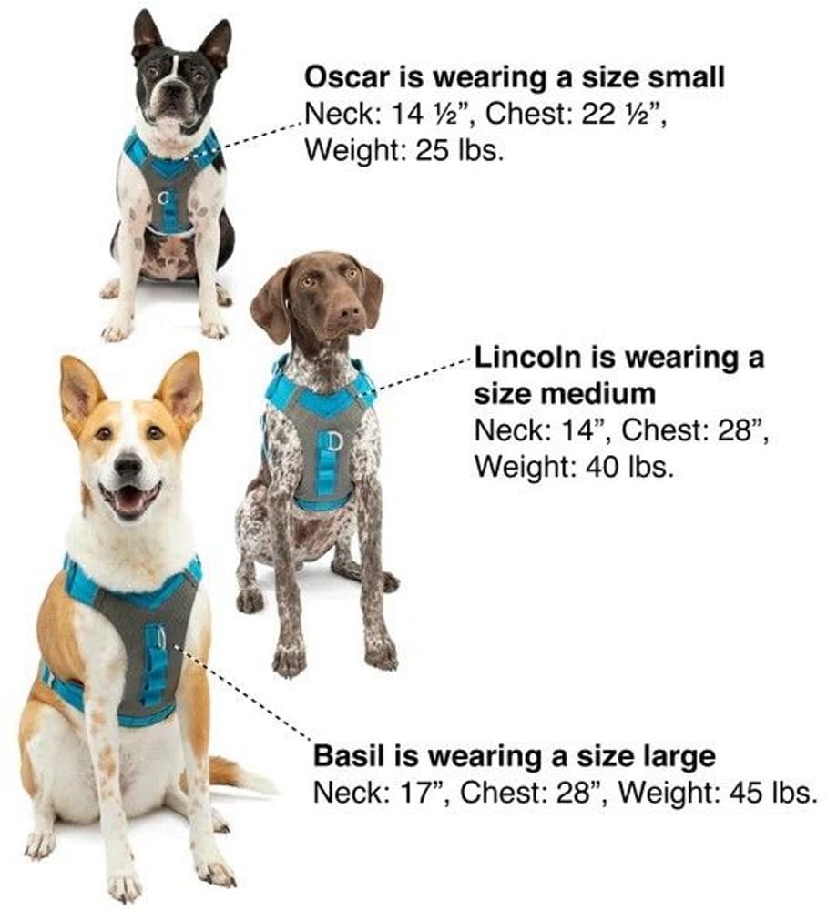 Journey Air Harness Purple, view: 7