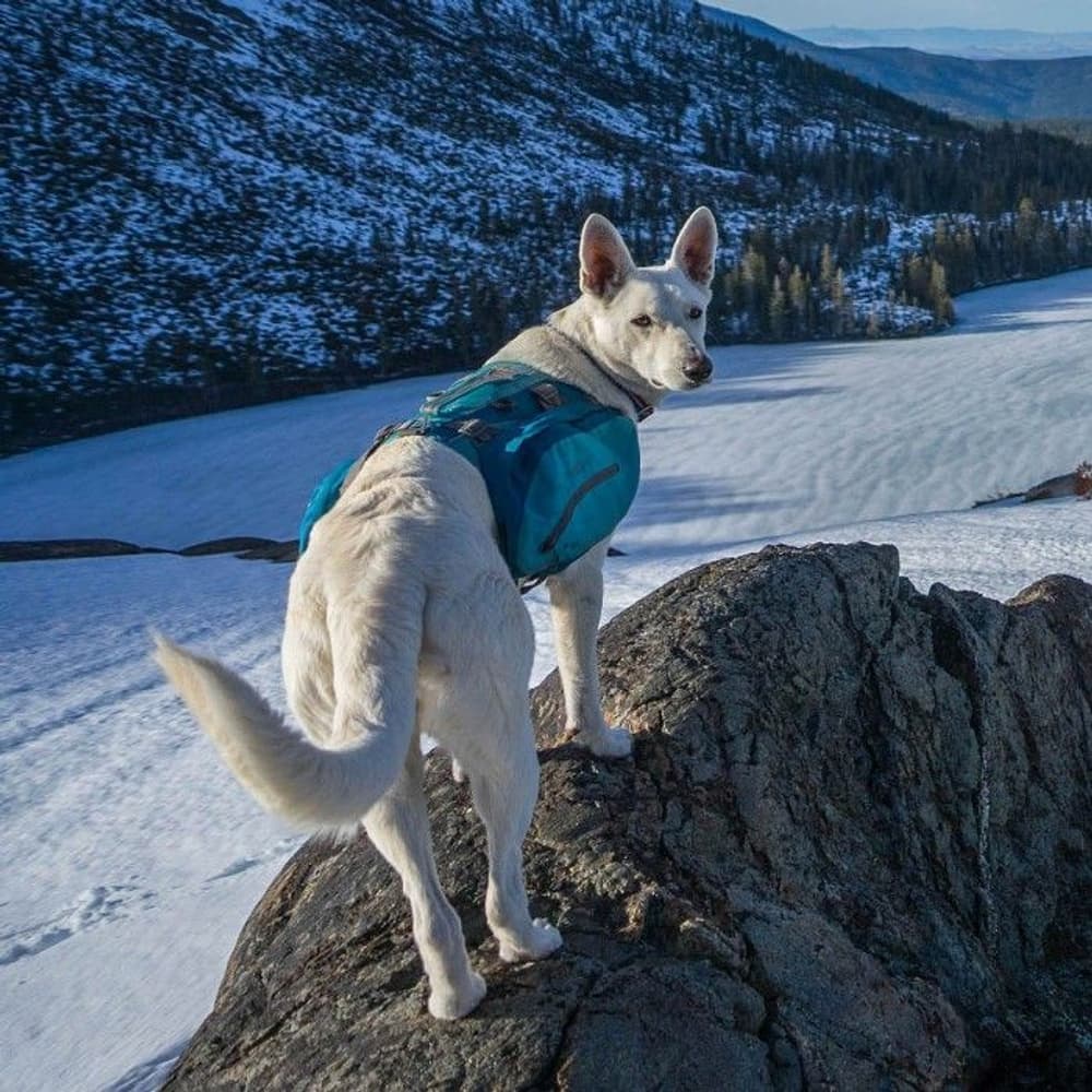 Baxter Klövjeväska Blå, view: 6