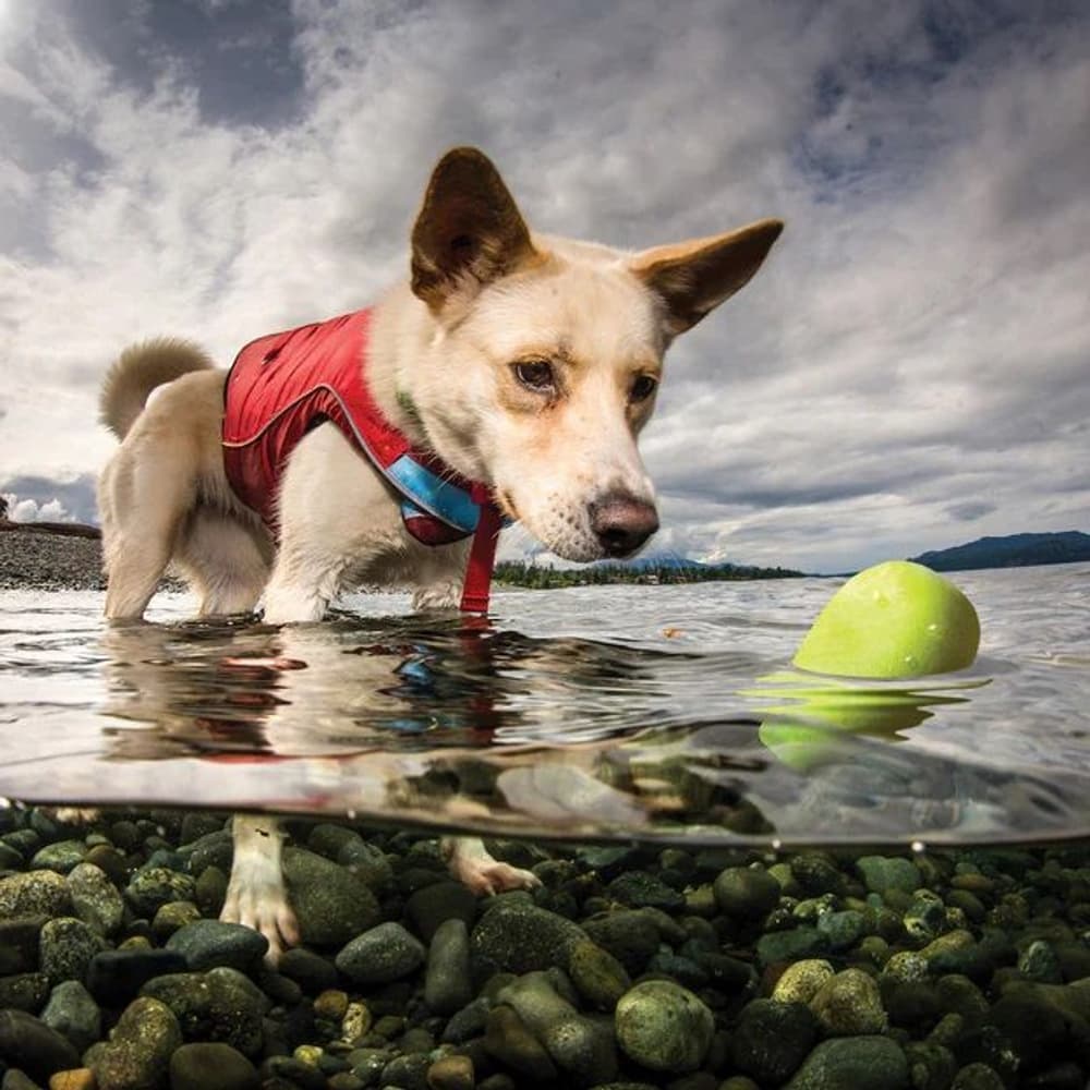 Skipping Stones Dog Toy 2 pcs, view: 4