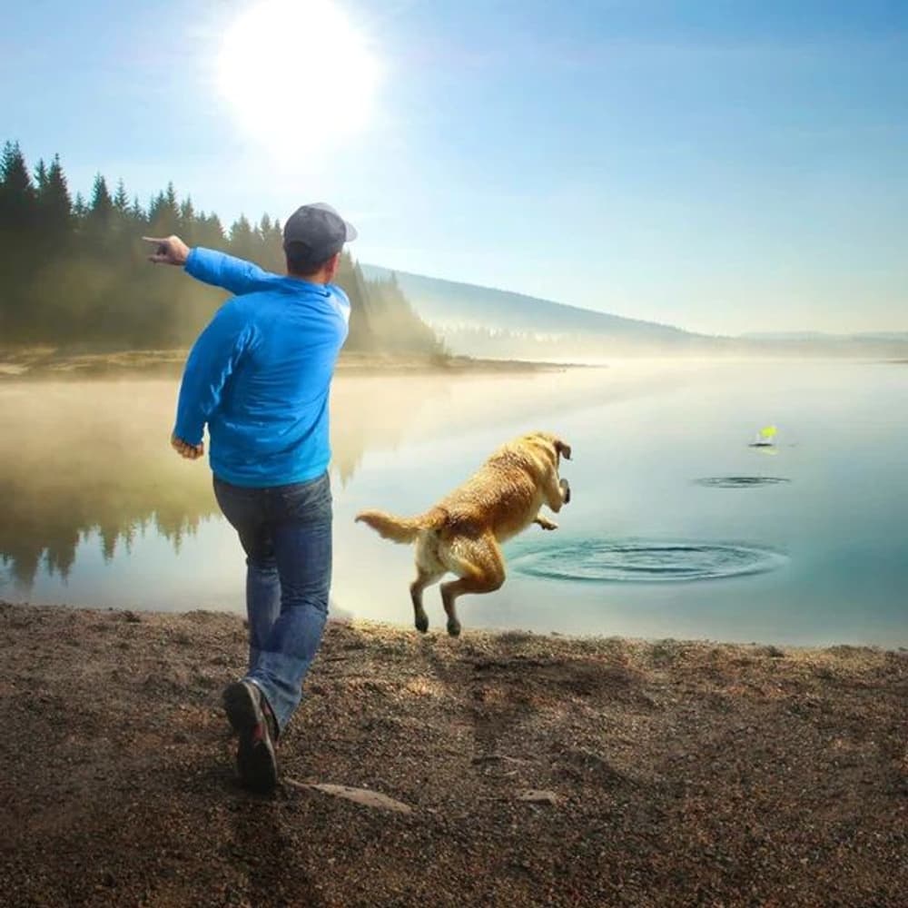 Skipping Stones Dog Toy 2 pcs, view: 5