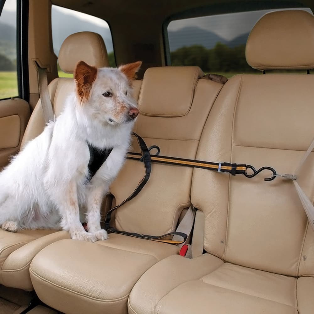 Auto Zip Line with Leash/Tether Black/Orange, view: 3