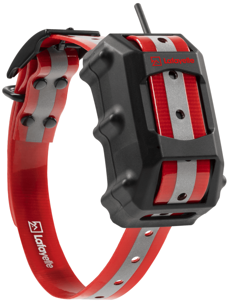 GPS C4 GSM/LTE, view: 0