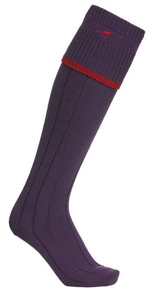 Colonial Stockings Purple, view: 0