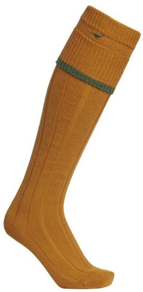 Colonial Stockings Gold, view: 0