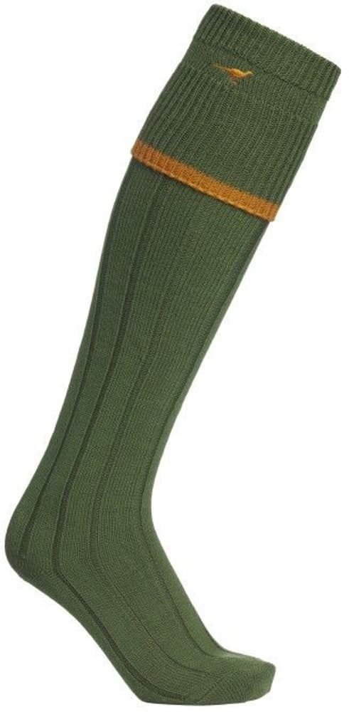 Colonial Stockings Ivy, view: 0