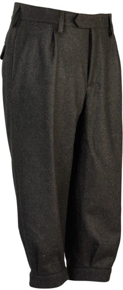 Turnerkamp Loden Breeks W. CTX Brown, view: 0