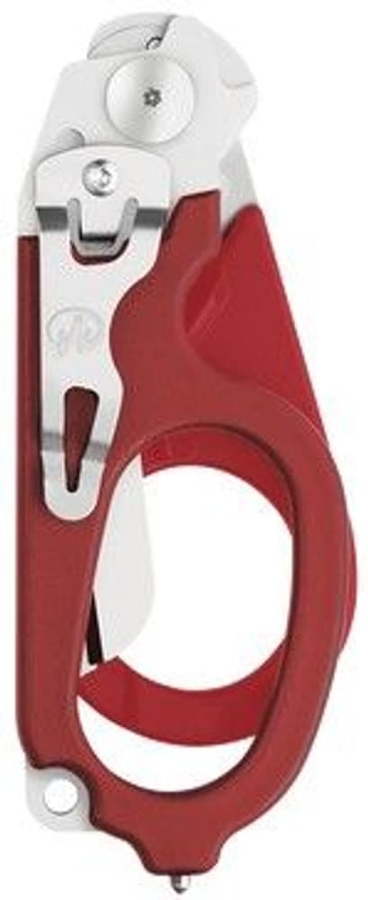 Raptor Red, view: 2