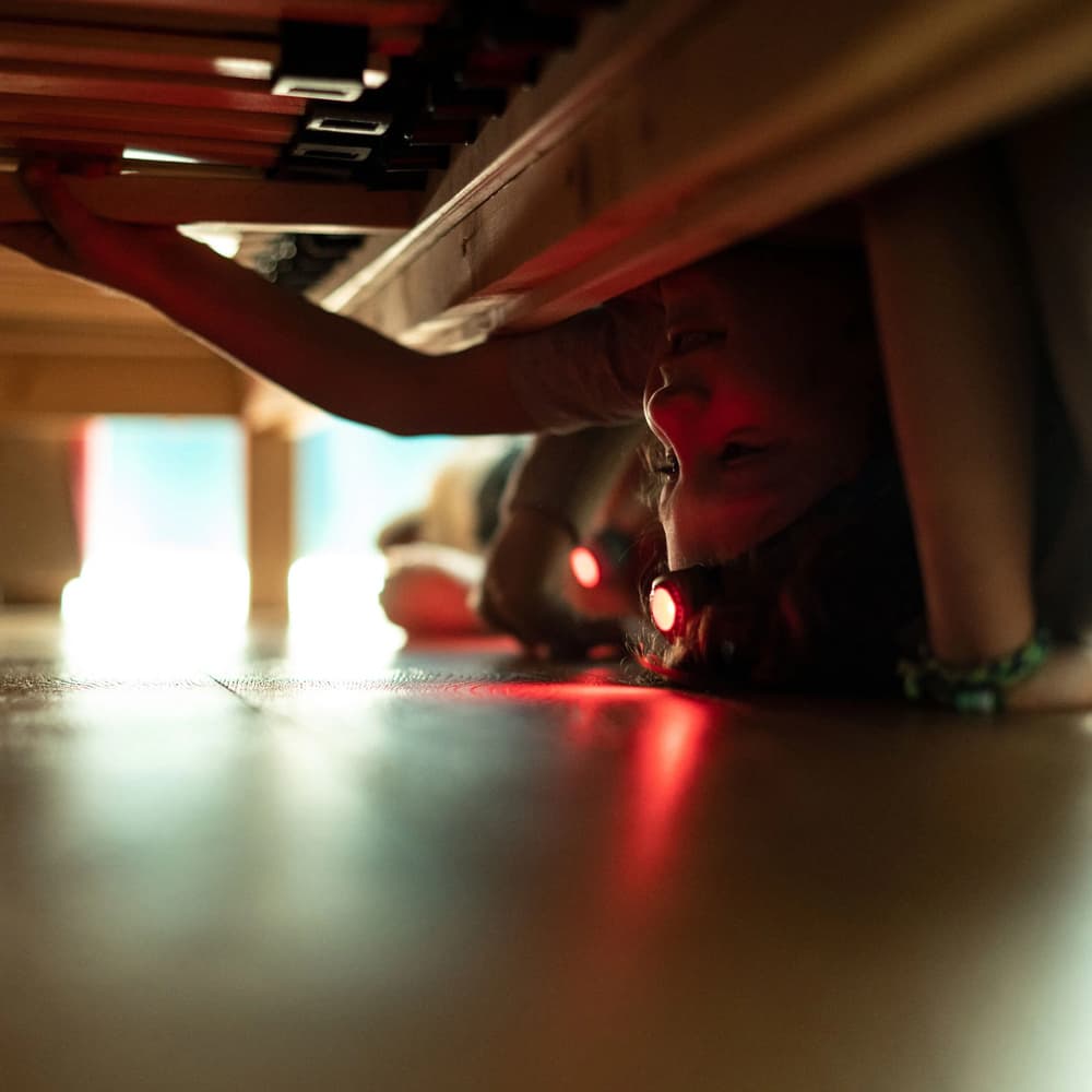 Kidled 2 Purple, view: 5