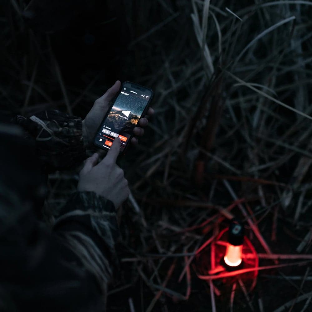 ML6 Connect Warm Light Black, view: 8