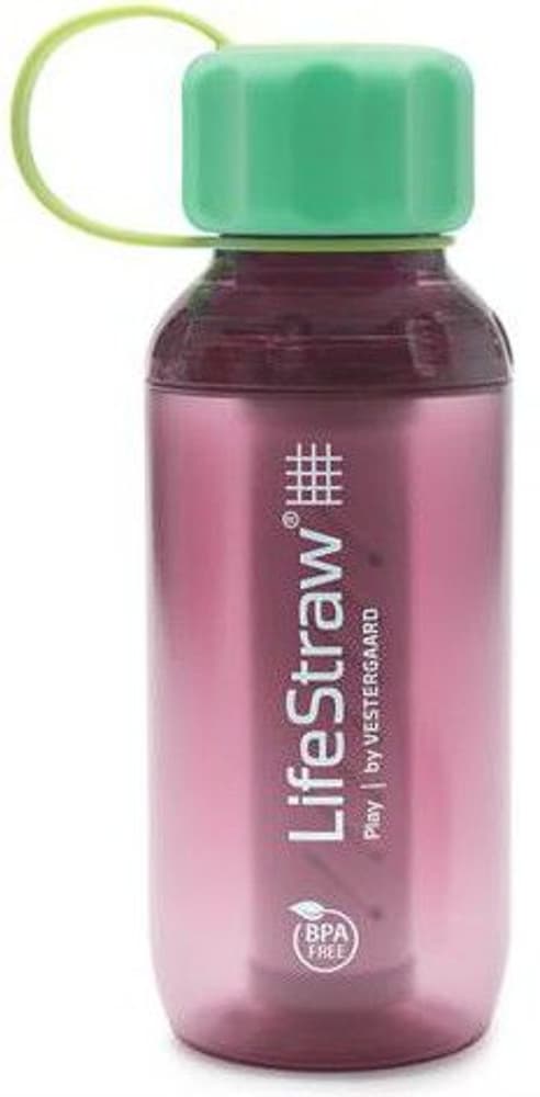LifeStraw Play Water Bottle with Filter 300 ml Wildberry, view: 0