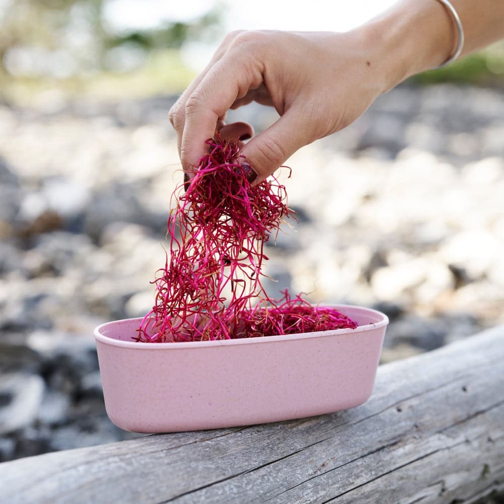 SnapBox oval 2-pack Musty Yellow / Hazy Blue, view: 3