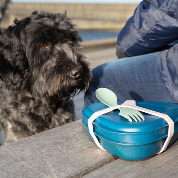 Harness Musty Yellow, view: 2